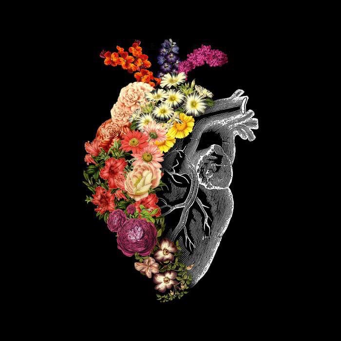 Anatomical heart with blooming flowers